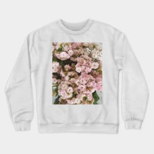 Pink Kalanchoe Plant Crewneck Sweatshirt